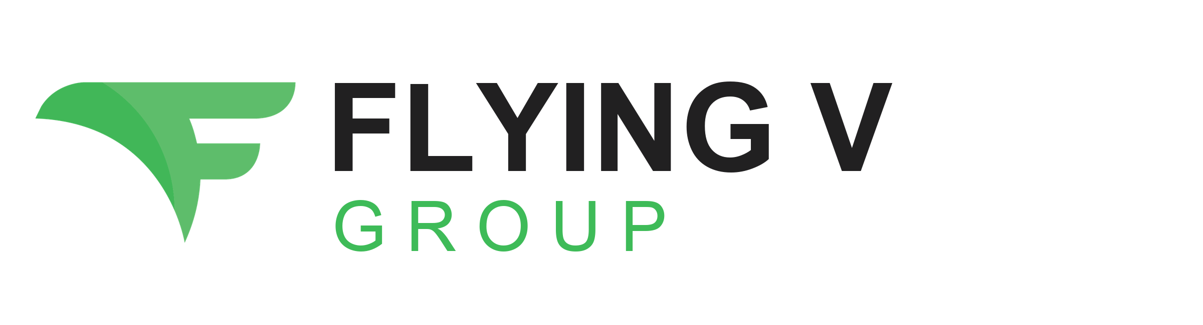 Flying V Group