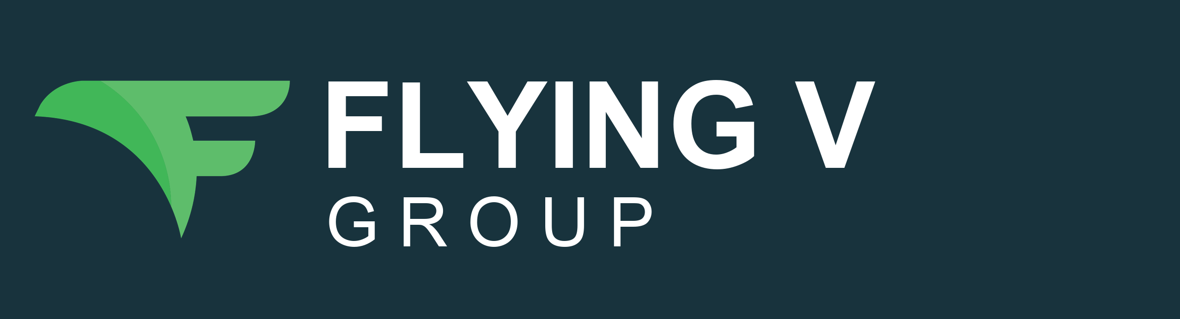 Flying V Group